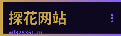 探花网站